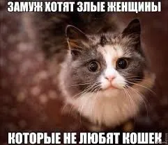 Как выйти замуж за иностранца?