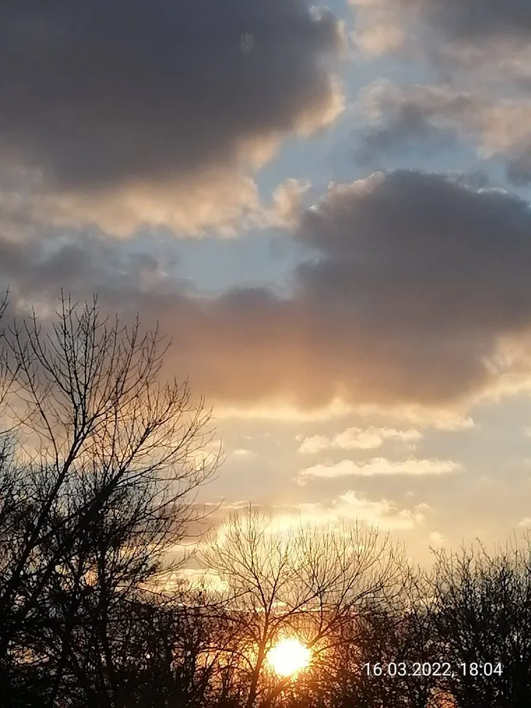 Чайная беседка