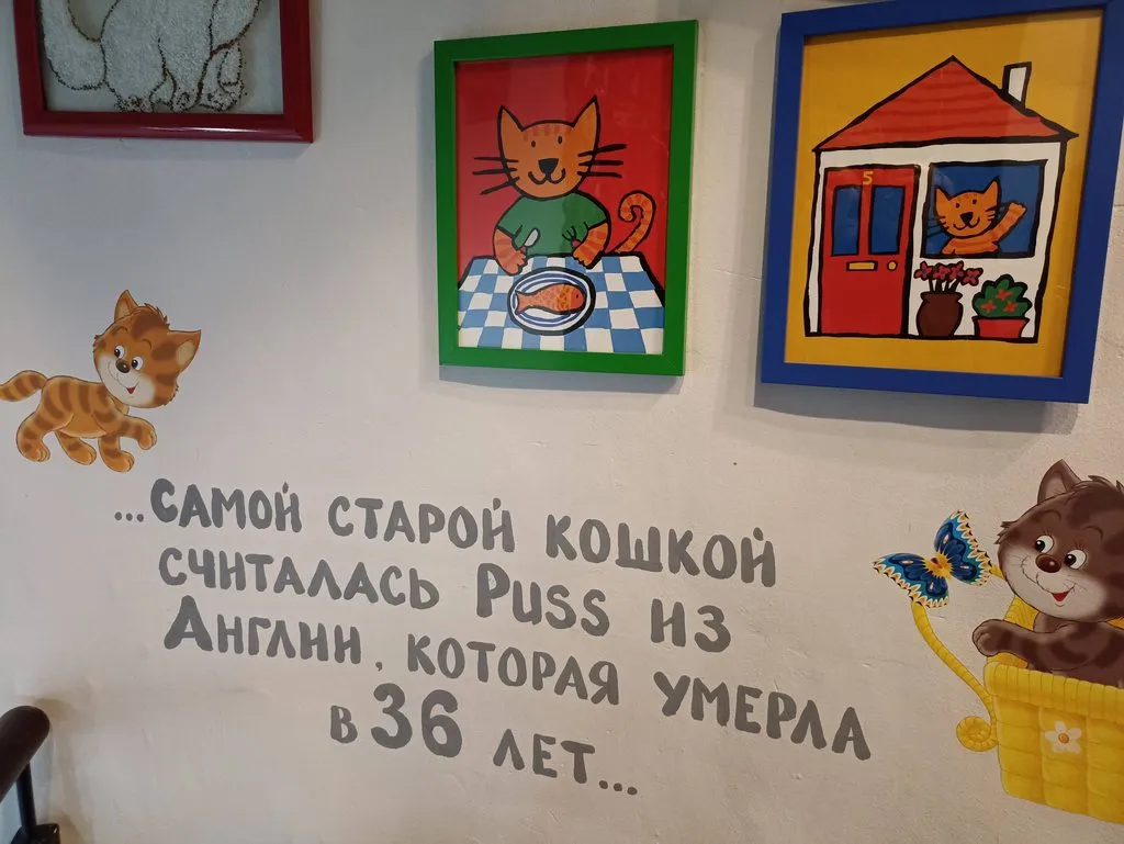 Калининградская область (не только море и янтарь) 