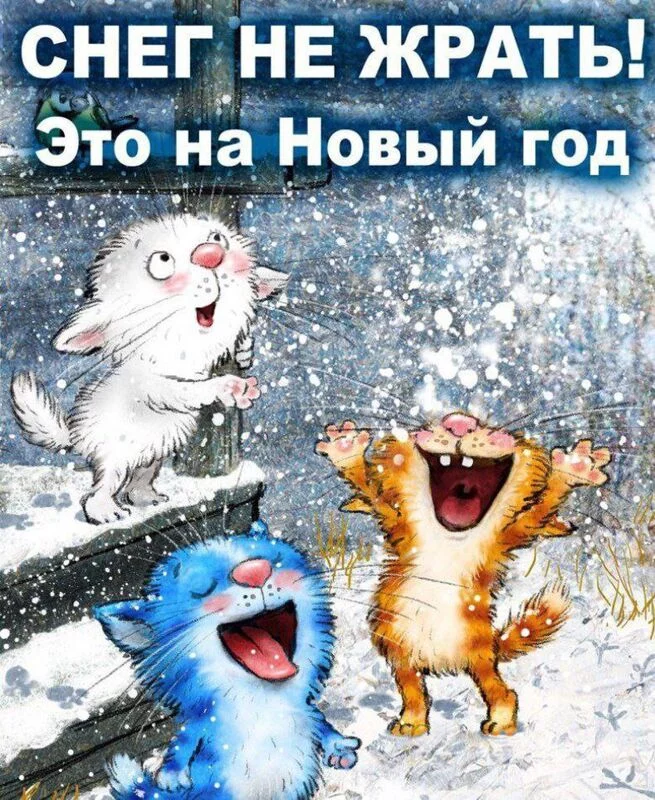 Кафе "У пани Сони"