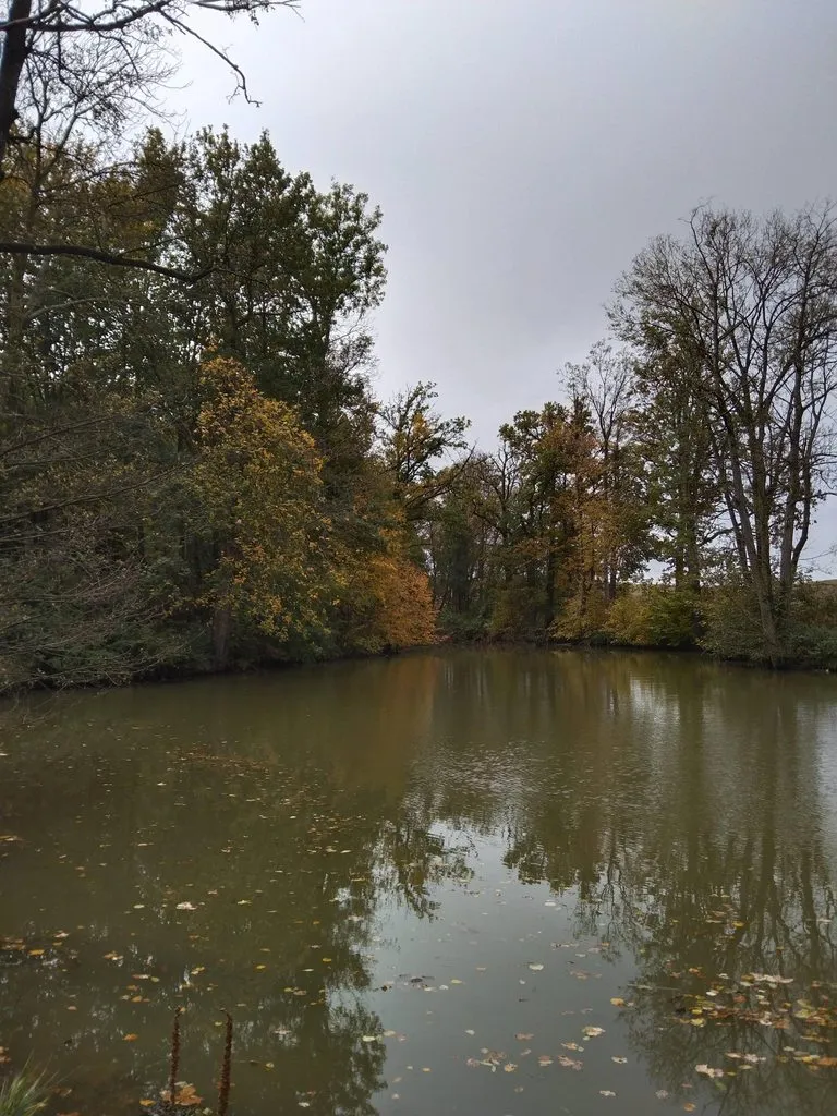 Чайная беседка