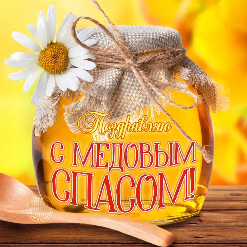 Пчёлки очень любят мёд