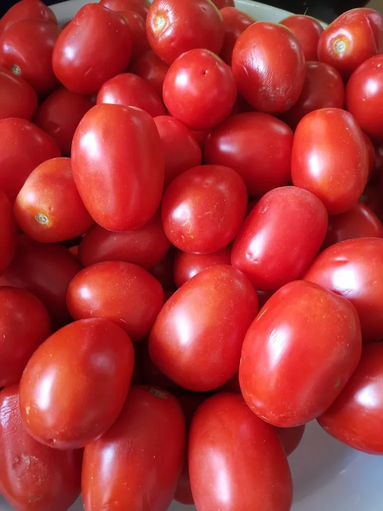 Где, что и когда купить в Москве