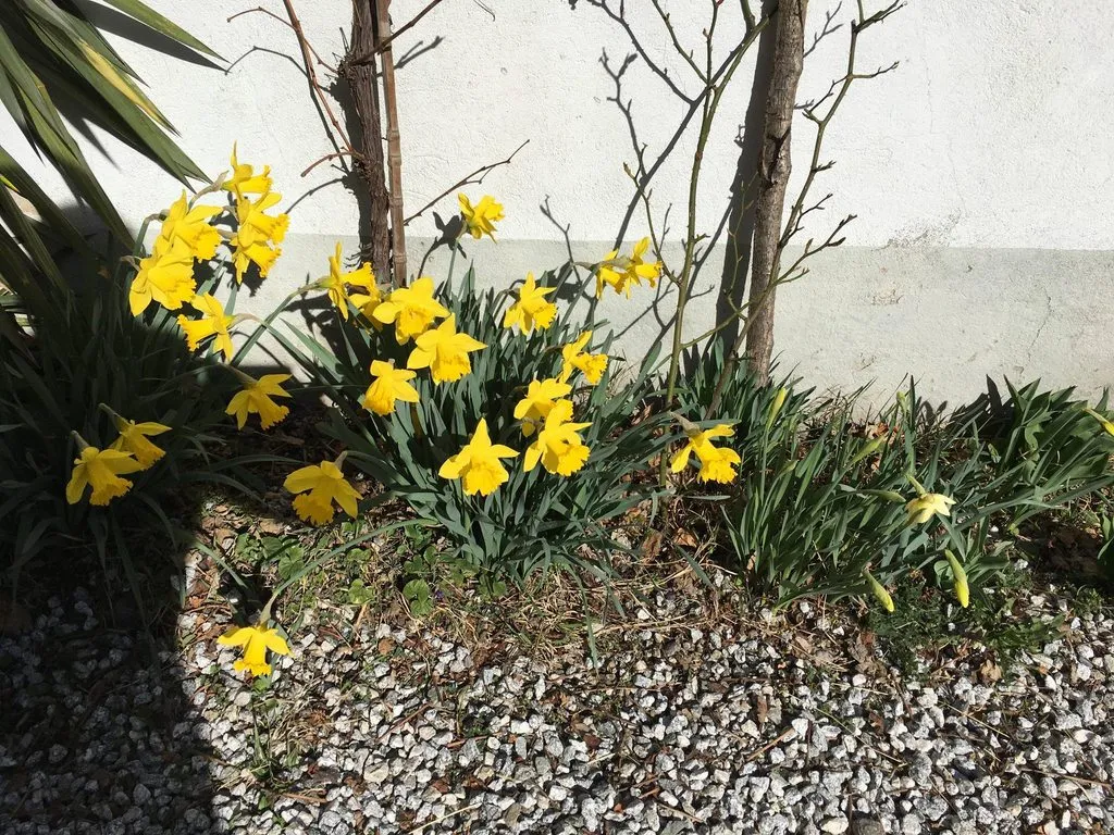 Чайная беседка