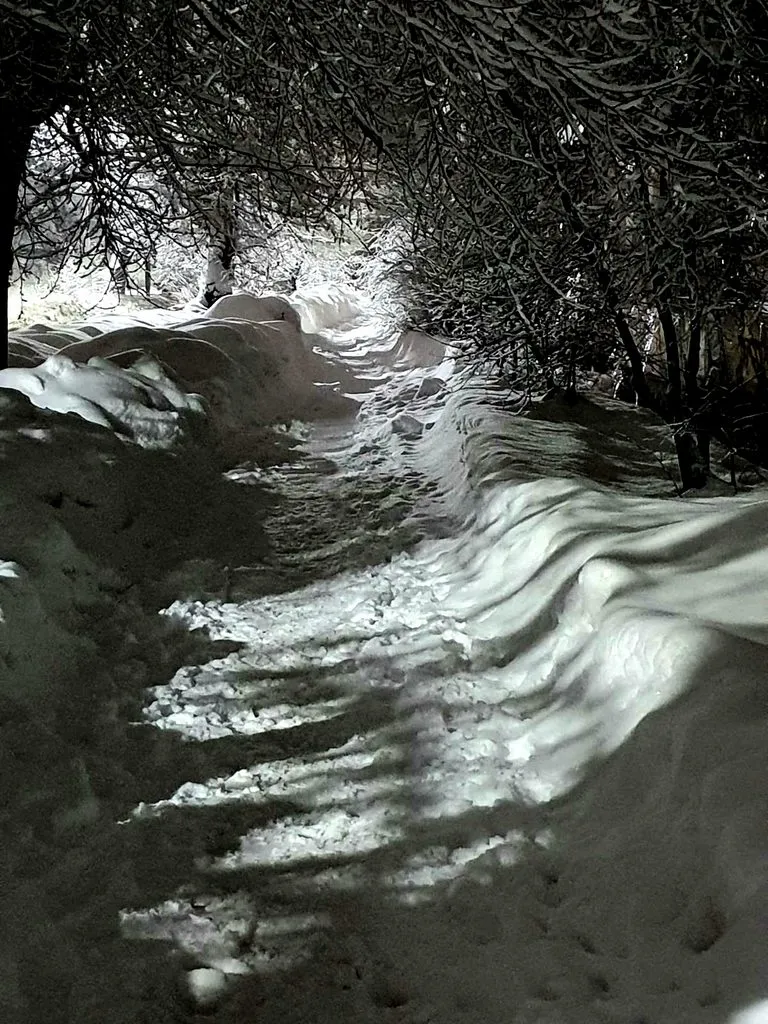Фотонастроение