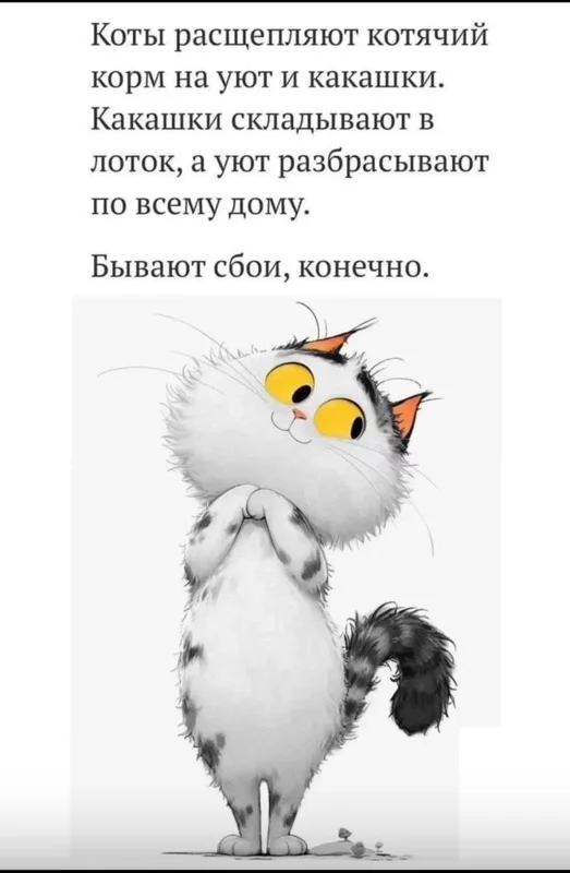Кафе "У пани Сони"