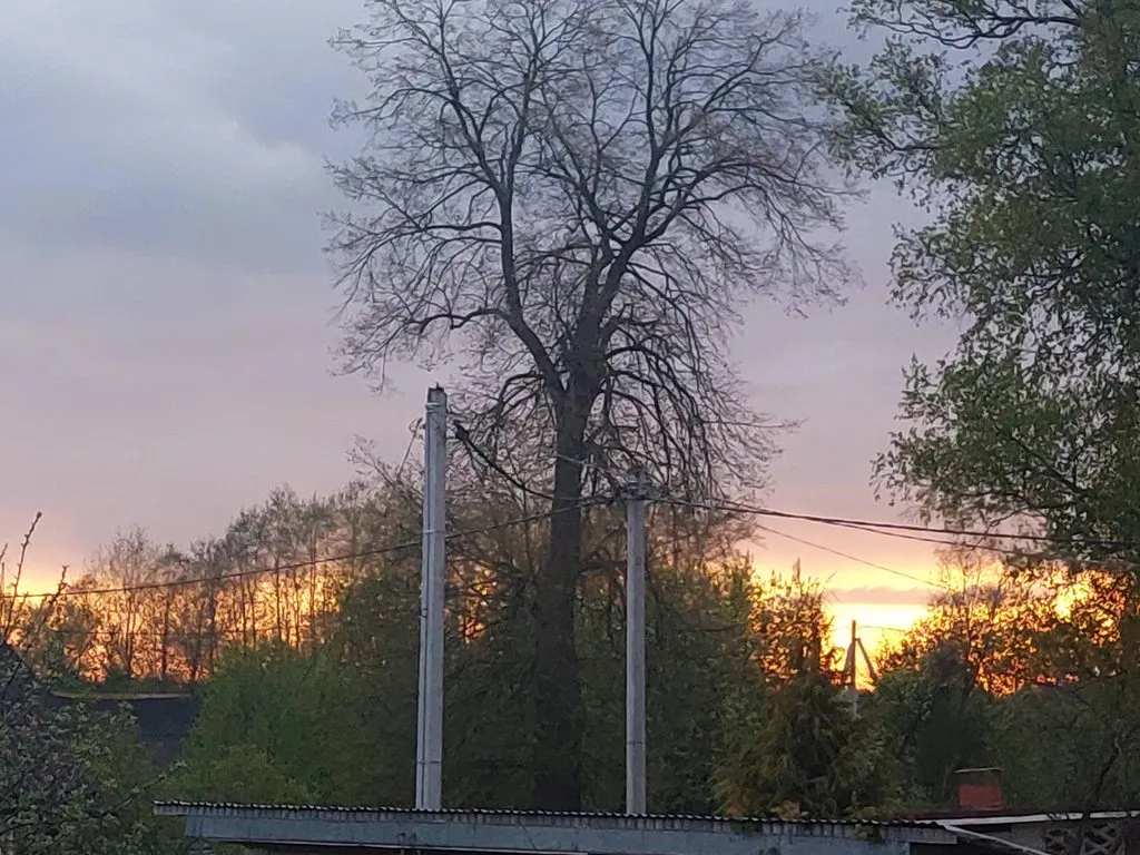 Такое разное небо
