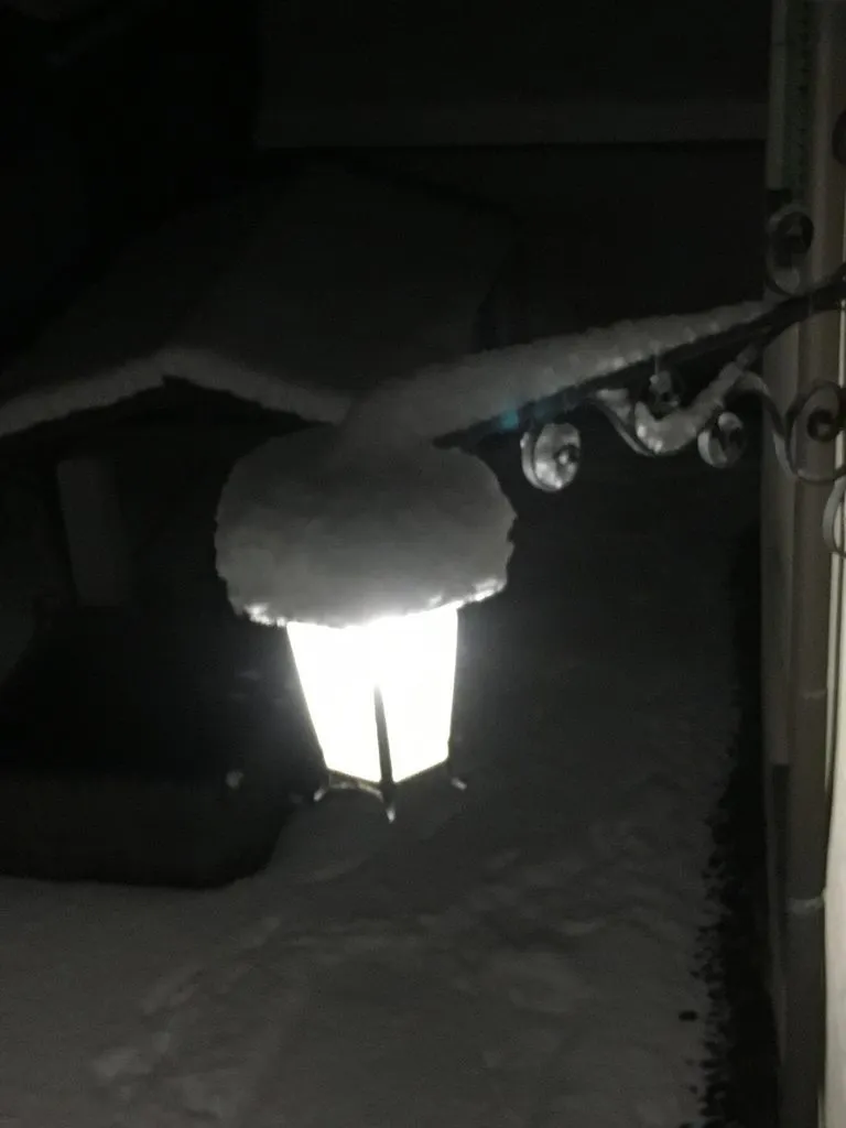 Чайная беседка