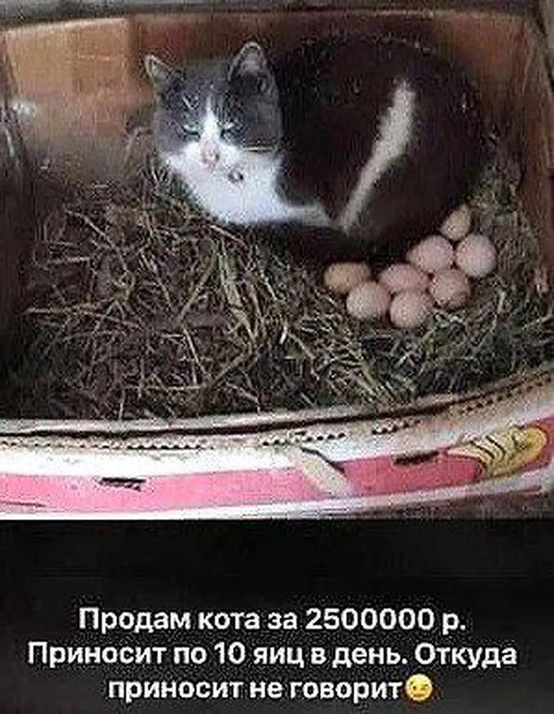 Посмеялся сам - поделись с другом!!!