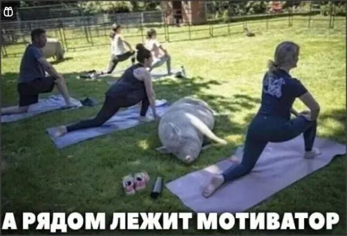 Посмеялся сам - поделись с другом!!!