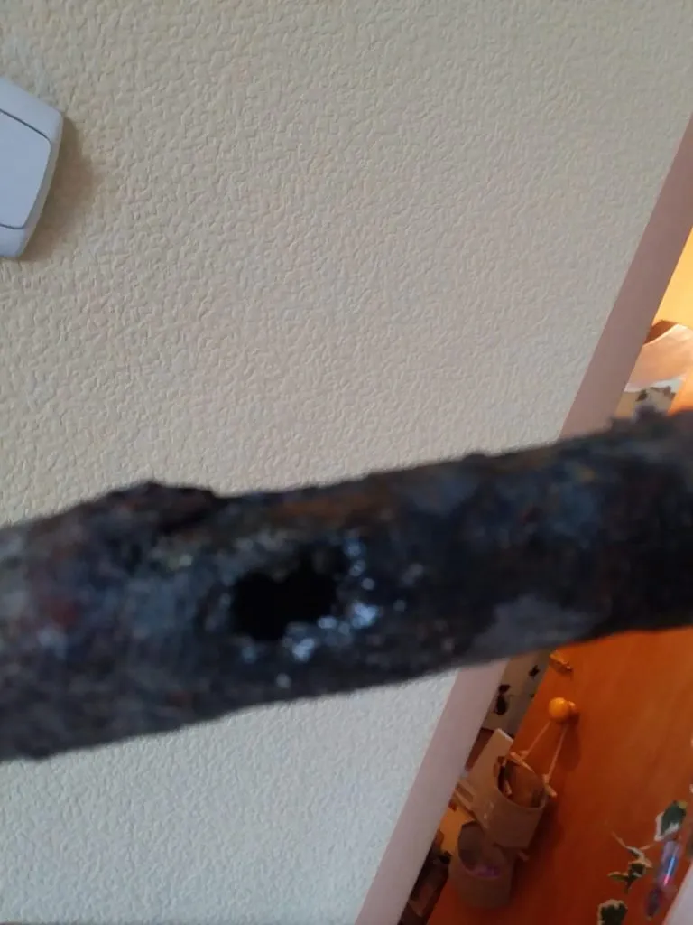 Tapтaлeтки & Ко