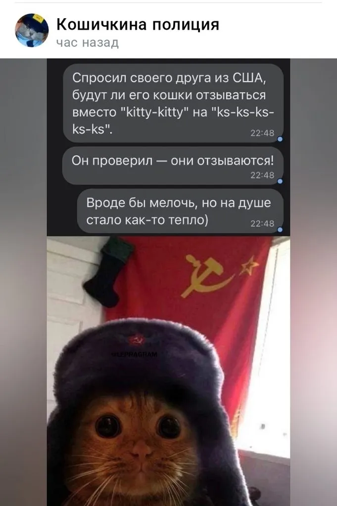 Посмеялся сам - поделись с другом!!!