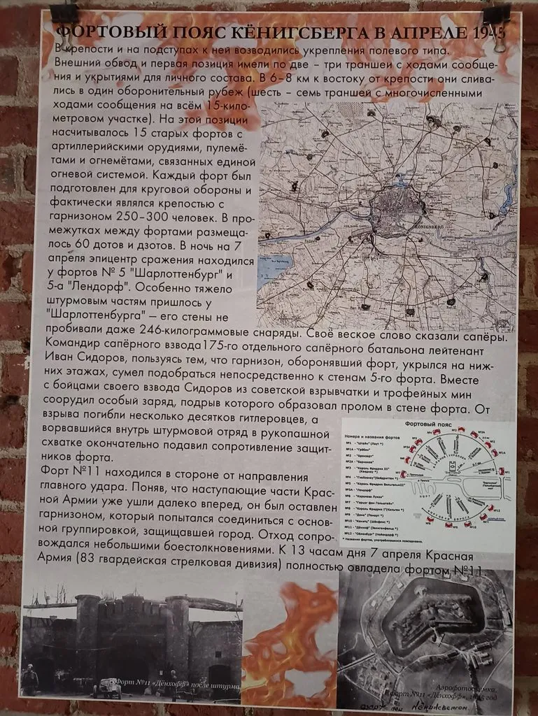 Калининградская область (не только море и янтарь) 