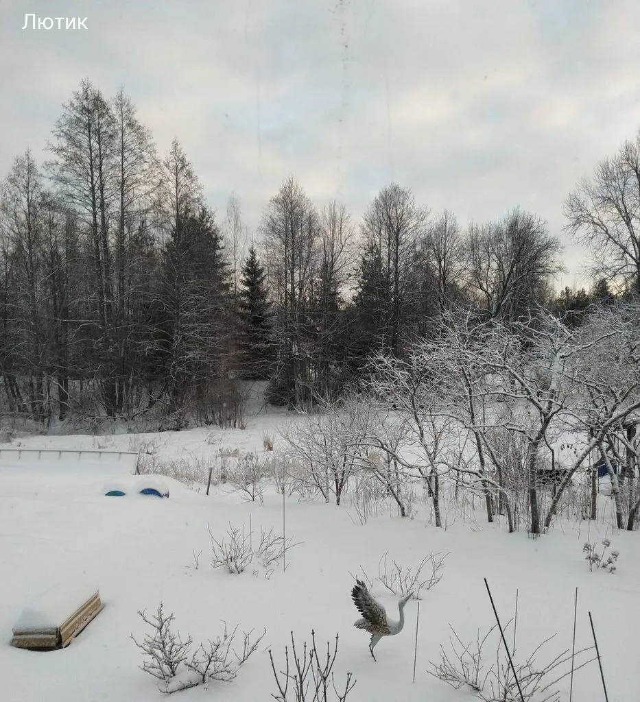 Кафе «У пани Сони»