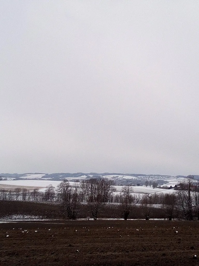 Tapтaлeтки & Ко