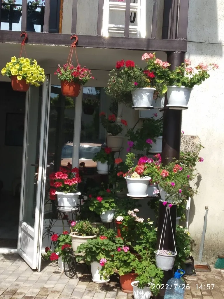 Чайная беседка