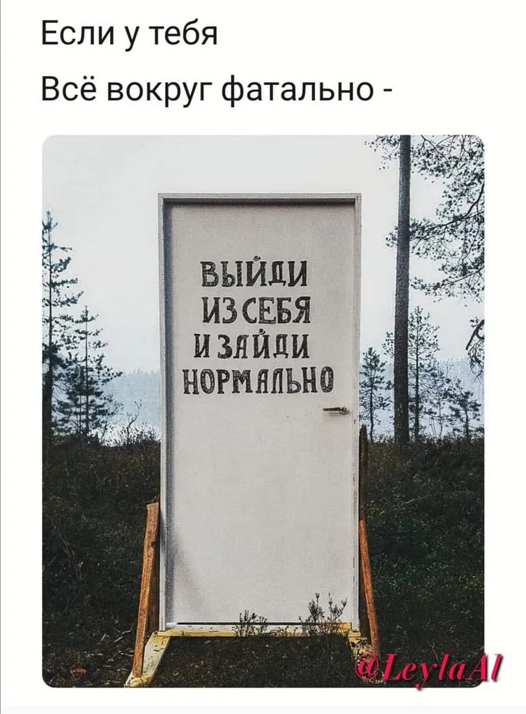 Всюду рифмы