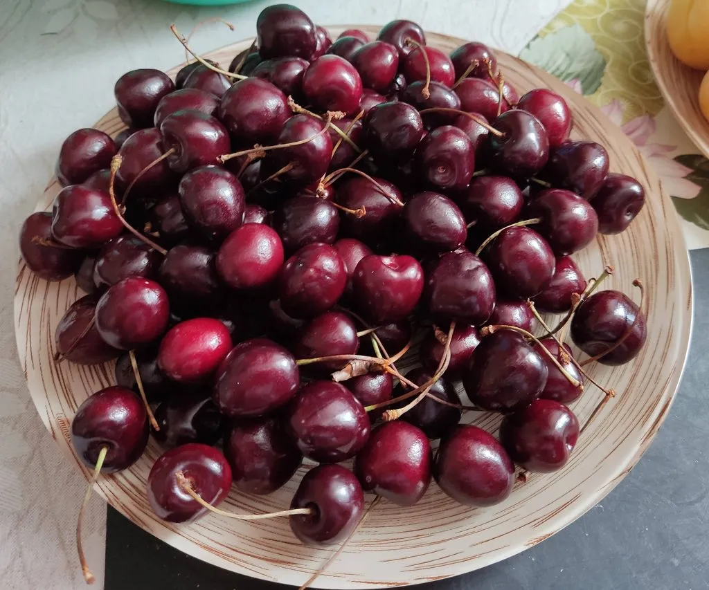 Где, что и когда купить в Москве