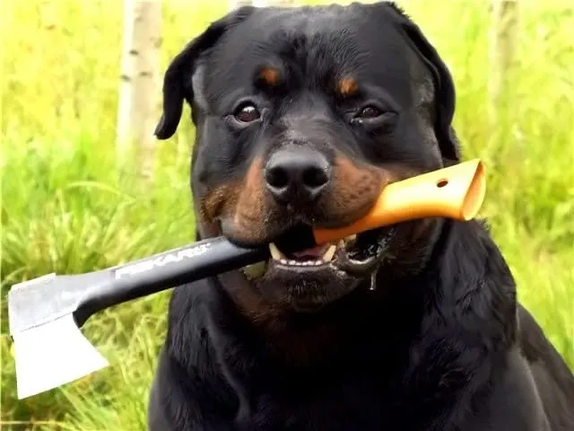 Посмеялся сам - поделись с другом!!!