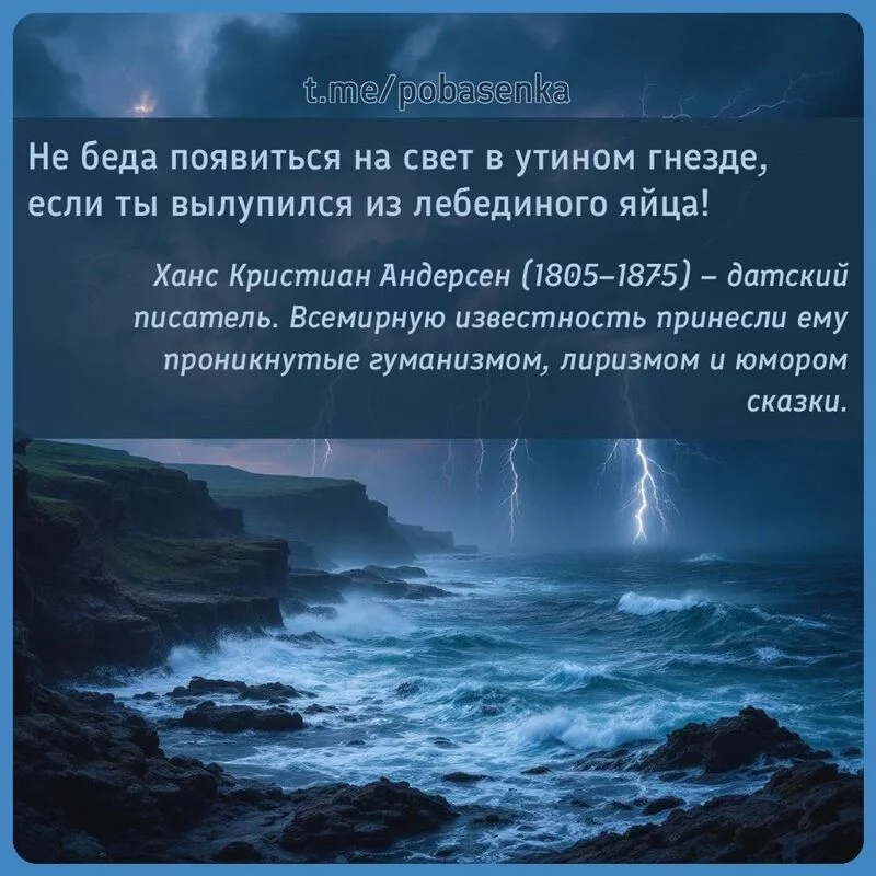 «Не беда появиться на свет в утином гнезде, если ты вылупился из лебединого...» height="550" width="550"