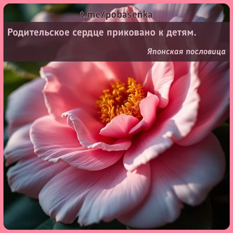 «Родительское сердце приковано к...» height="550" width="550"