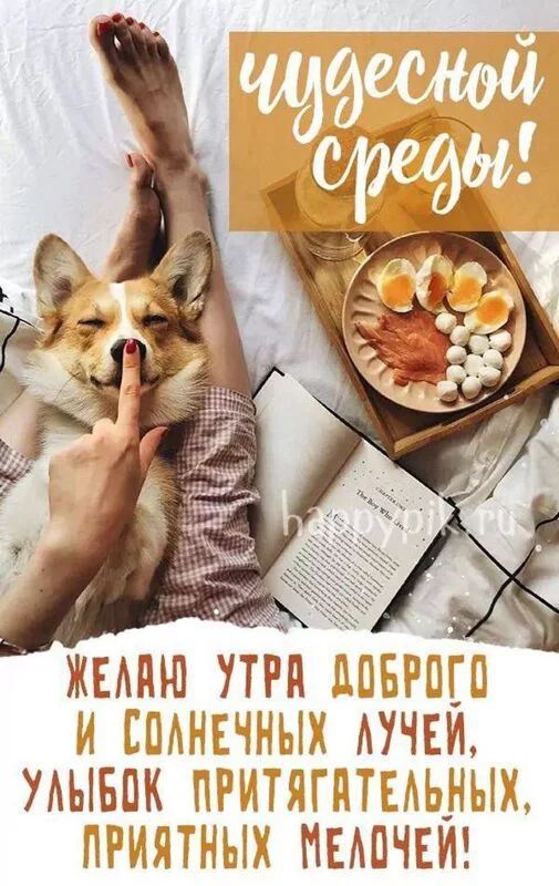 Кафе "У пани Сони"