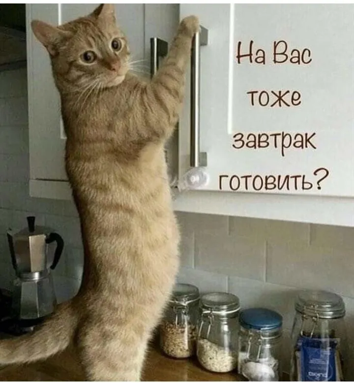 Посмеялся сам - поделись с другом!!!