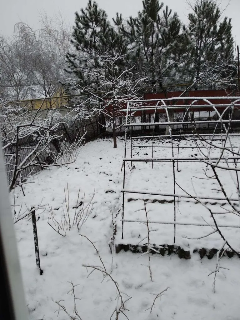 Чайная беседка