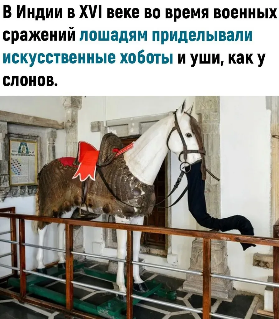 Это интересно!