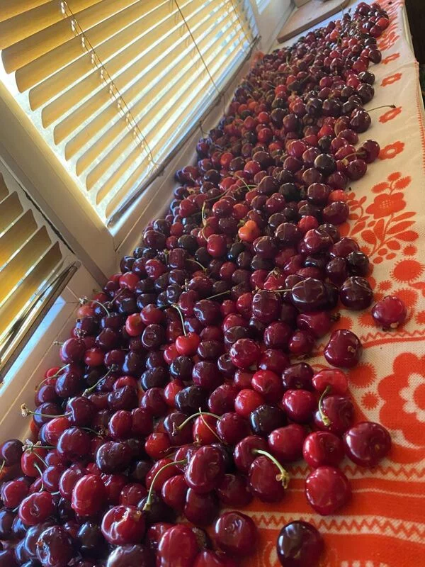 Чайная беседка