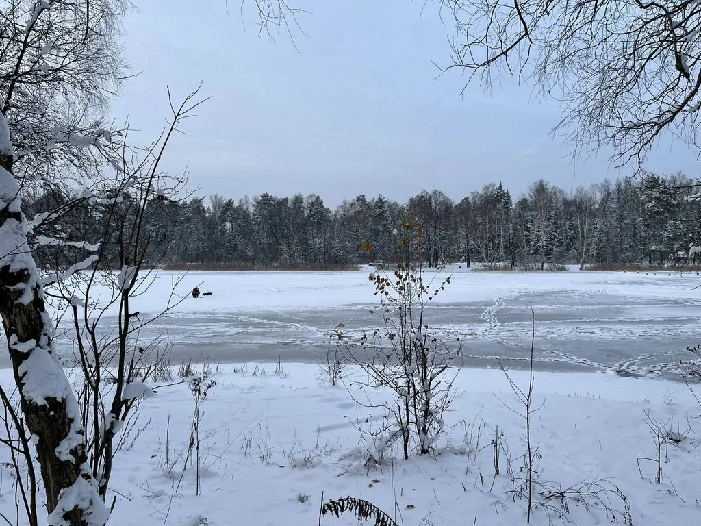 Чайная беседка