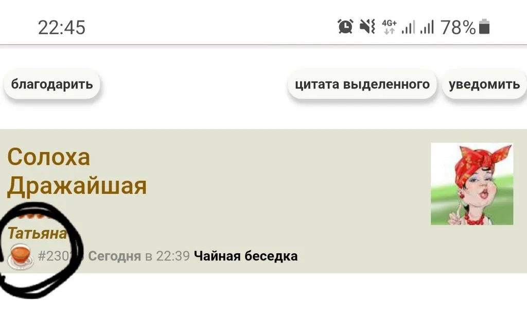 Чайная беседка