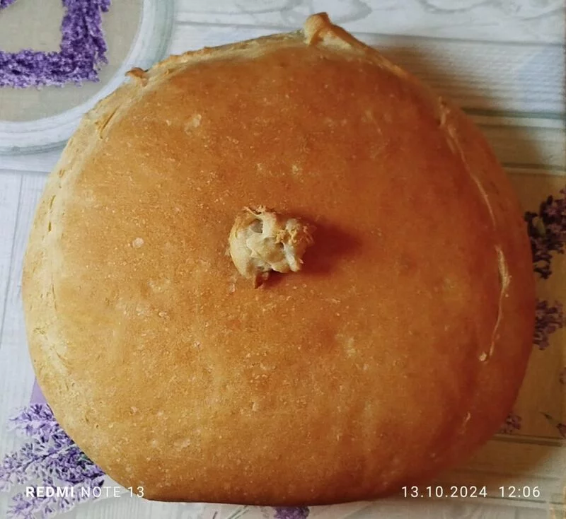 Tapтaлeтки & Ко