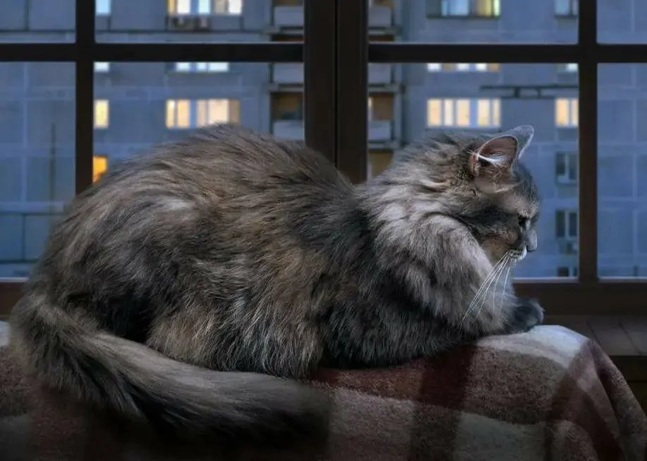 Рассказы для души