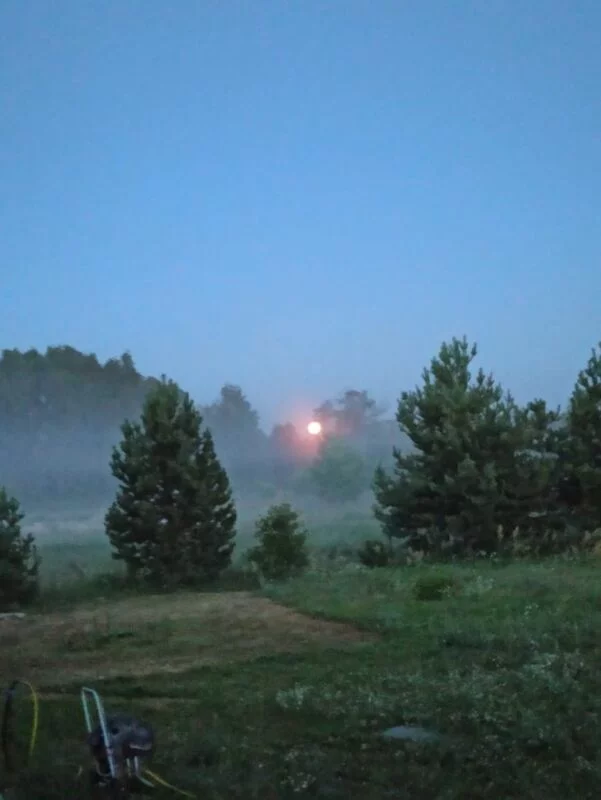 Чайная беседка