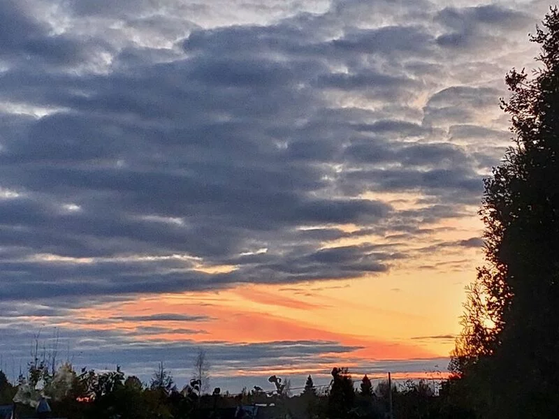 Такое разное небо