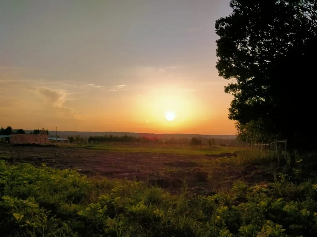 Чайная беседка