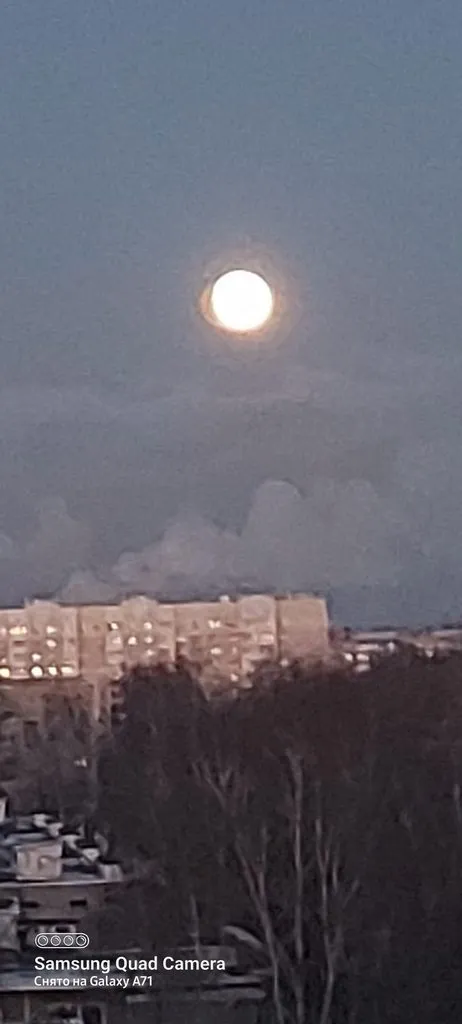 Tapтaлeтки & Ко
