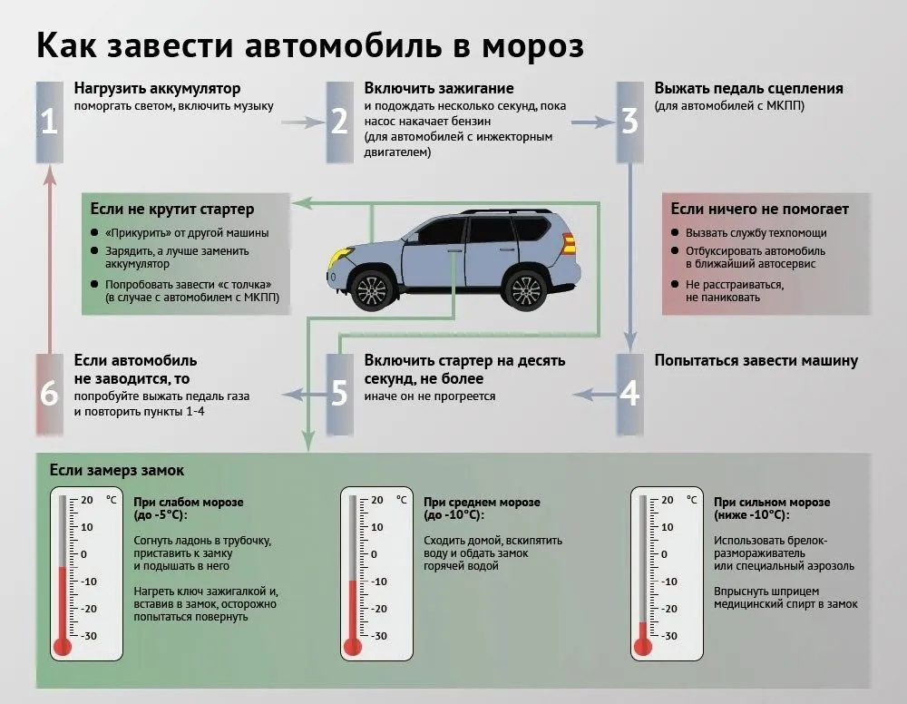 Домашняя инфографика