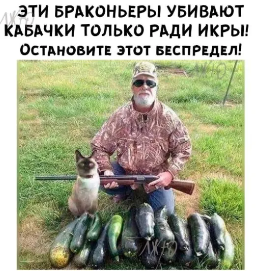 Посмеялся сам - поделись с другом!!!