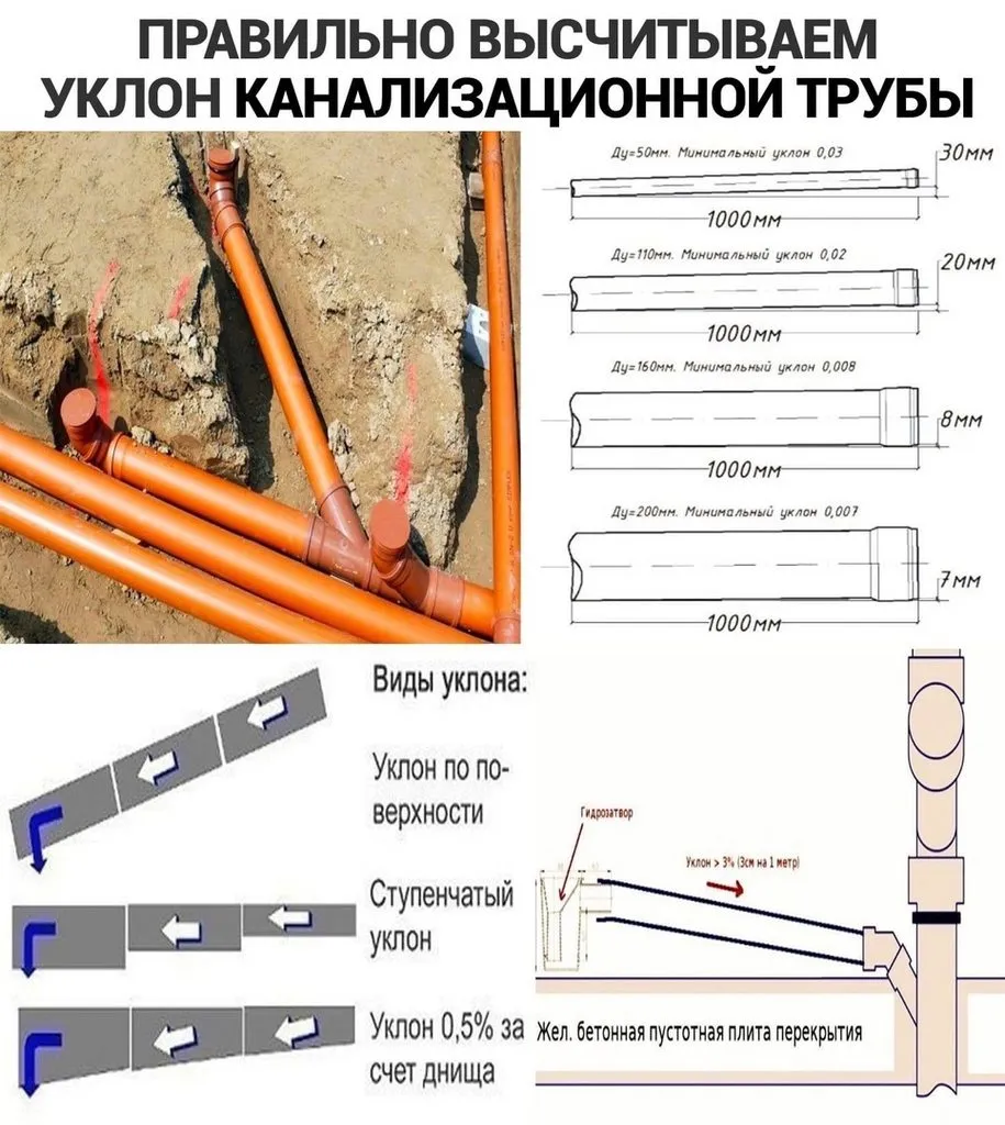 Домашняя инфографика
