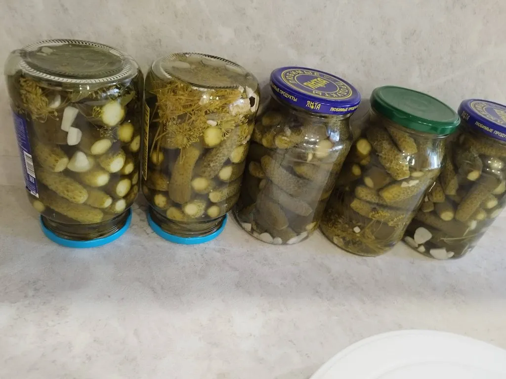 Самые ленивые квашеные огурцы