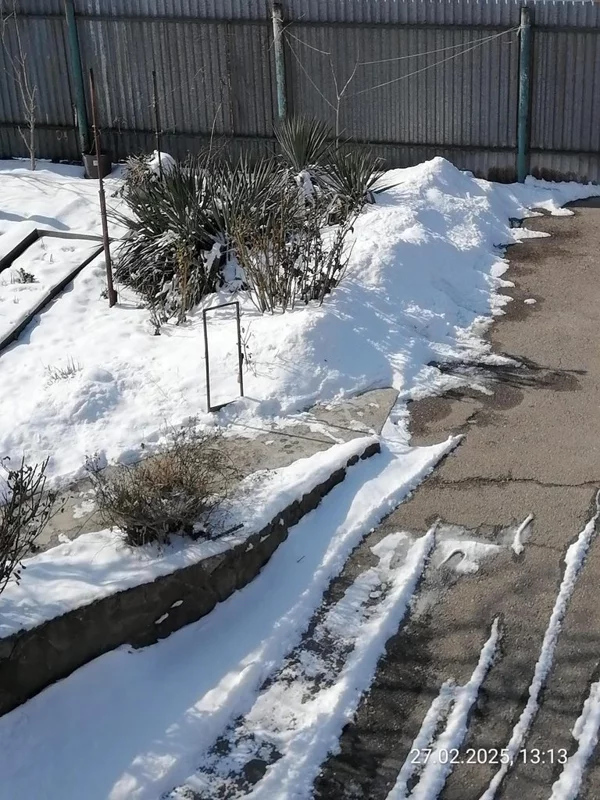 Чайная беседка