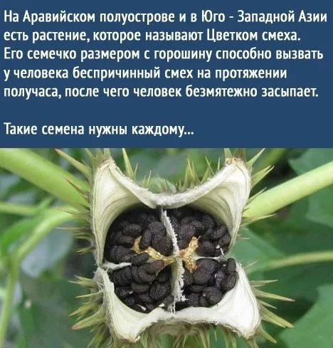 Это интересно!