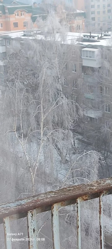 Чайная беседка