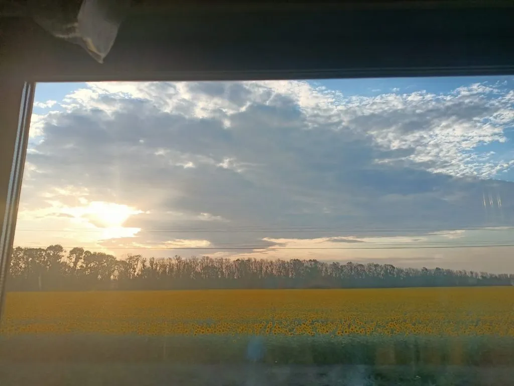 Чайная беседка