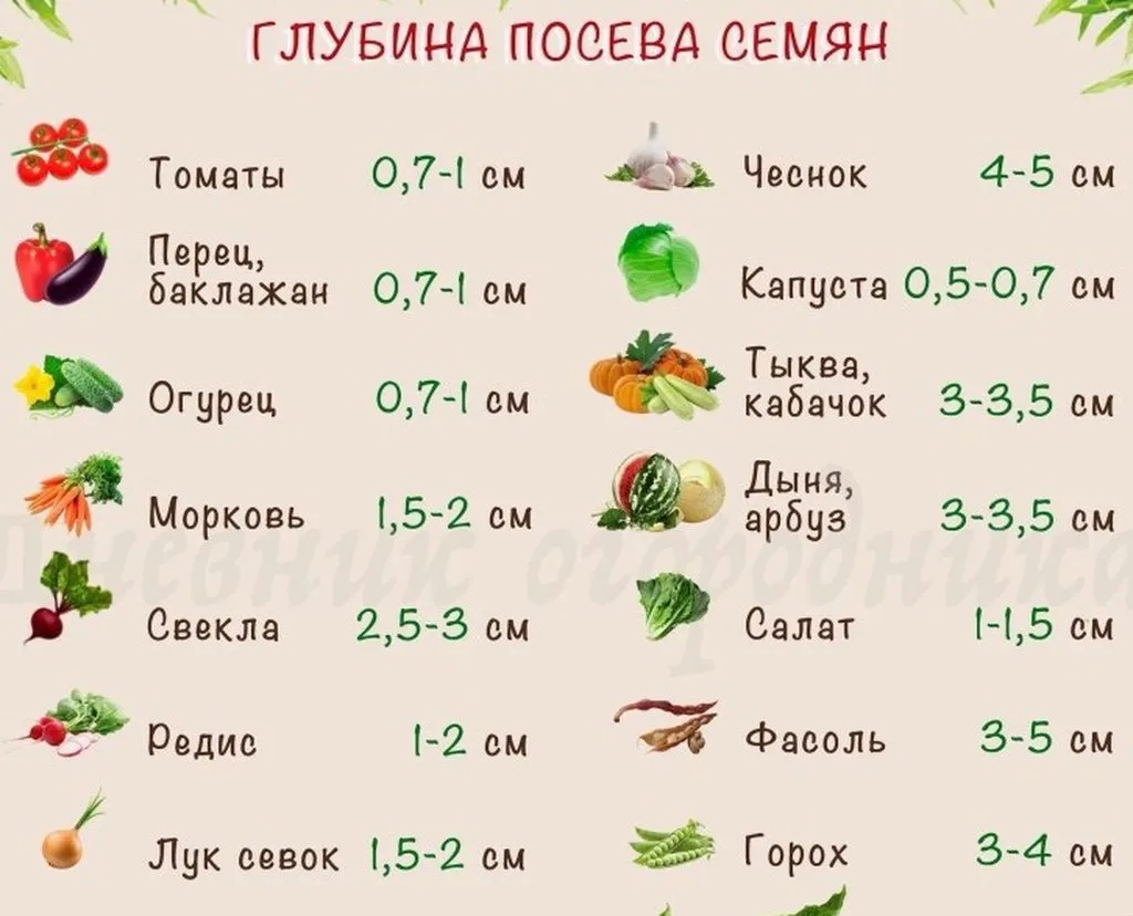 Садово-огородная  инфографика