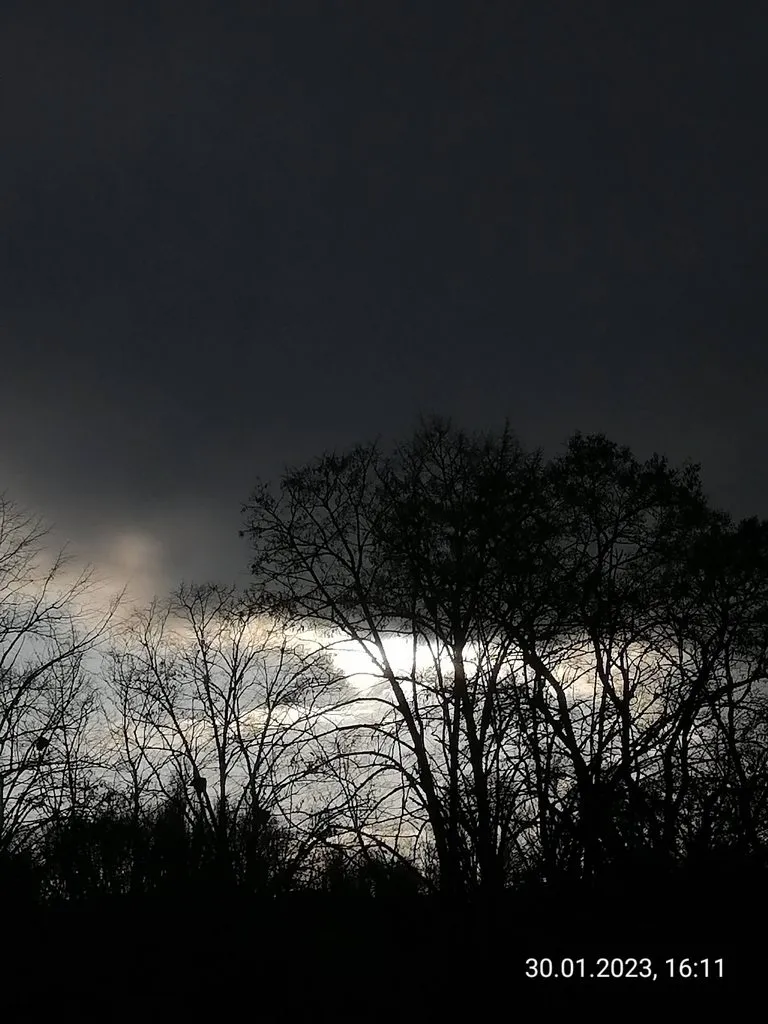 Такое разное небо