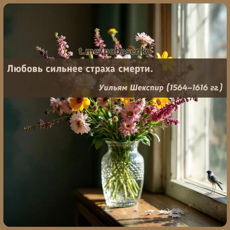 «Любовь сильнее страха...» height="550" width="550"