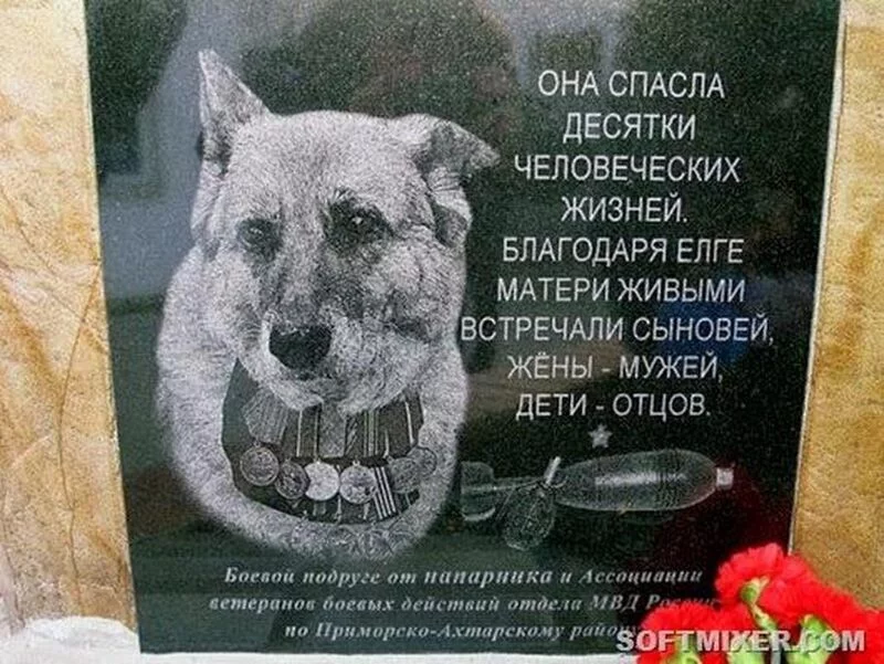 Это интересно!